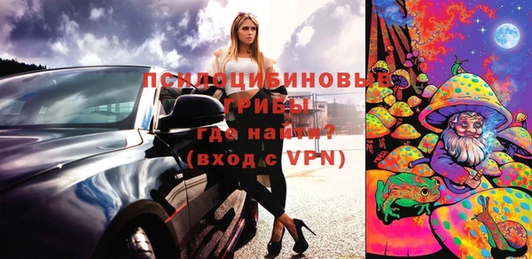 индика Балабаново