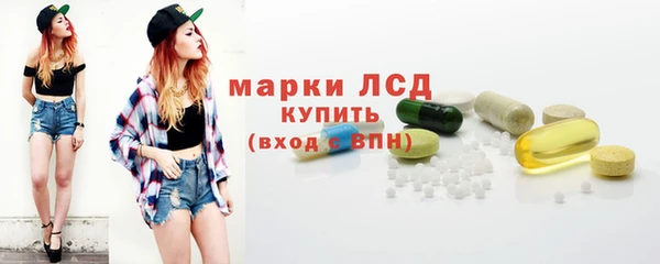 индика Балабаново