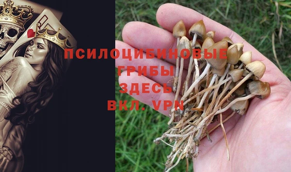 индика Балабаново