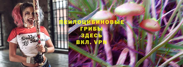 индика Балабаново