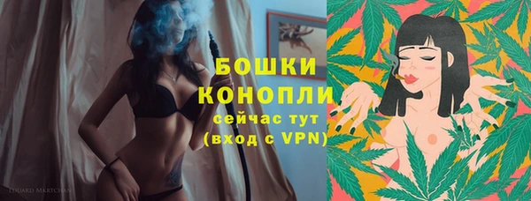 индика Балабаново