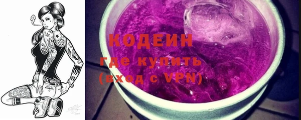 индика Балабаново